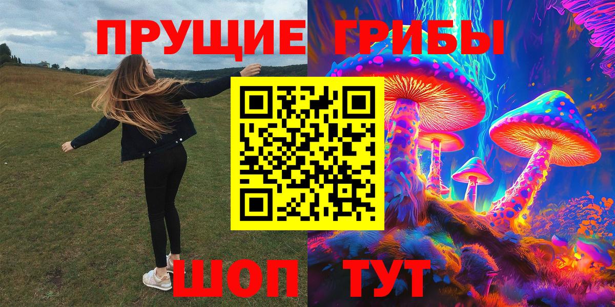 Псилоцибиновые грибы Psilocybe  Вход с VPN  Кинешма 