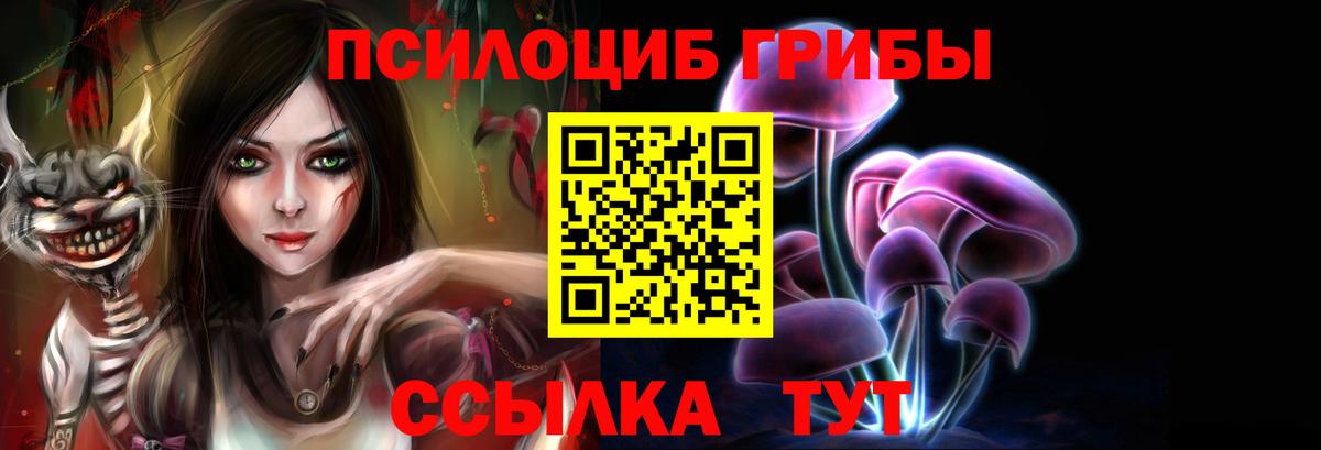 Псилоцибиновые грибы Cubensis Кинешма